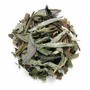 MINT WHITE TEA