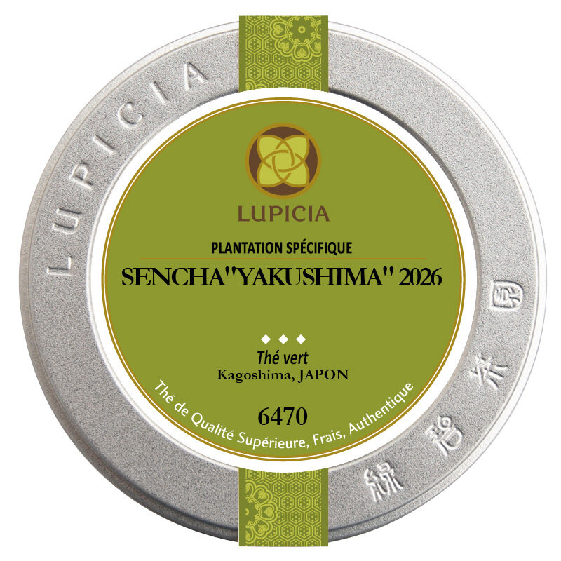 SENCHA "YAKUSHIMA" 2026