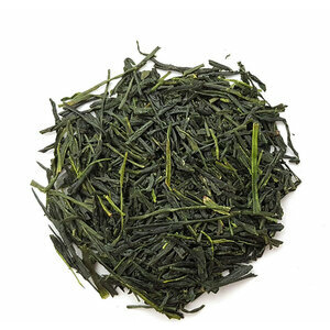 SENCHA "UJI" 2024