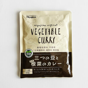 VEGETARIAN CURRY