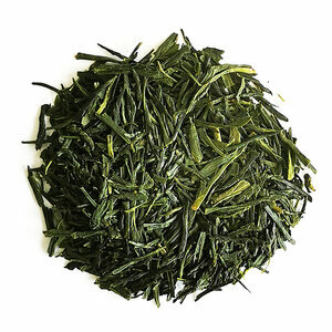 SENCHA "SHOJU" 2024