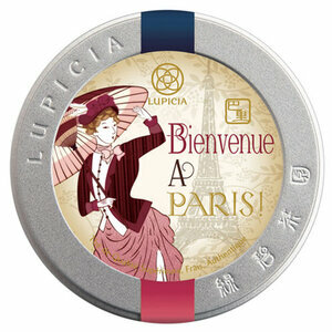 BIENVENUE À PARIS 