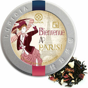 BIENVENUE &Agrave; PARIS 