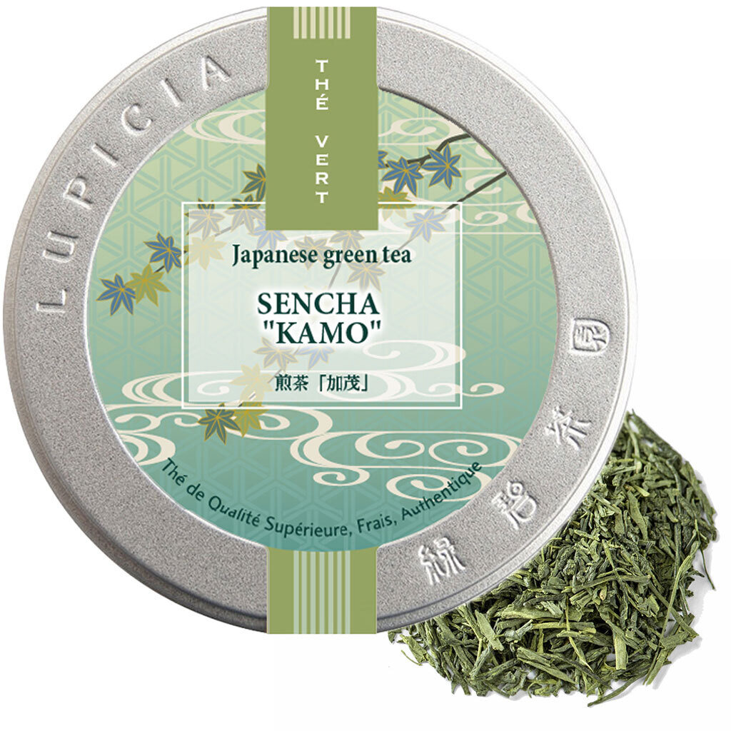 SENCHA "KAMO"