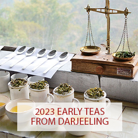2023 Early teas from Darjeeling